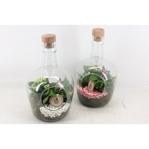 arr2 PL - Glas fles dop 999/6 - roze/wit