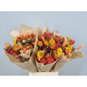 Df Bouquet 50cm Neon Orange