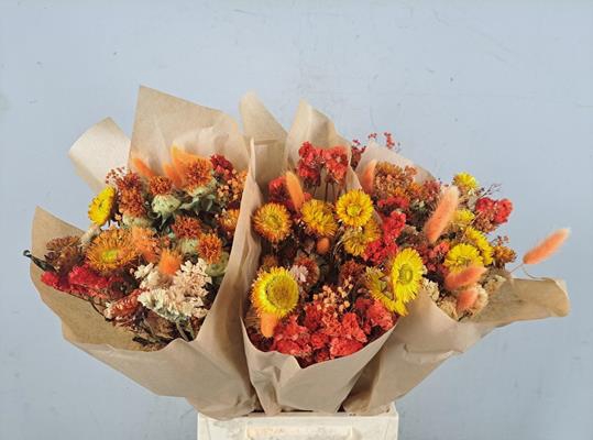 <h4>Df Bouquet 50cm Neon Orange</h4>