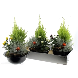 ARR TUINPLANTEN