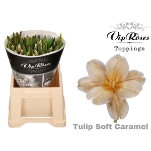 Tu En Vip Soft Caramel