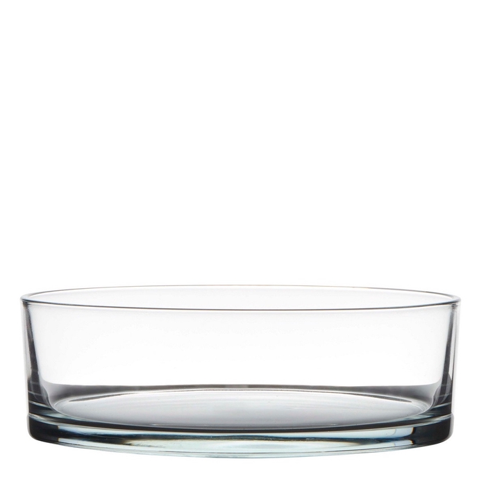 Glass Bowl d29*8cm