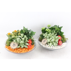 arr2 PL - Glas schaal 23cm - oranje/wit