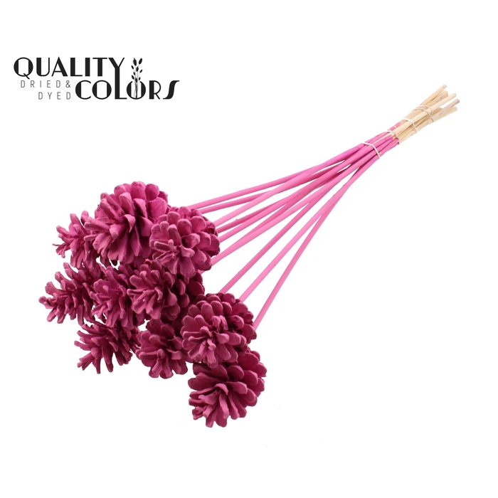 <h4>Pine cone 5-7cm on stem Covered Cerise</h4>