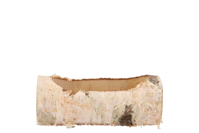 <h4>Nature Birch Planter 19x10x9cm</h4>