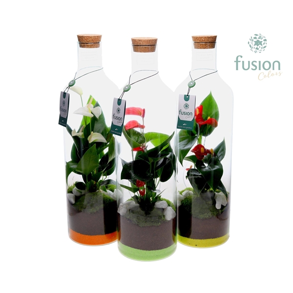 <h4>Green Bottle Fles Large met Anthurium</h4>