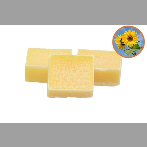 Amberblok Day Dream 3,5x4,5cm P/1 Nm