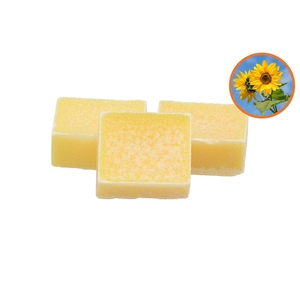 Amberblok Day Dream 3,5x4,5cm P/1 Nm