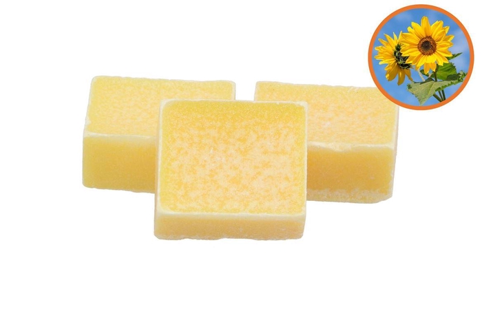 <h4>Amberblok Day Dream 3,5x4,5cm P/1 Nm</h4>