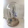 Stolp XL Dried Flowers