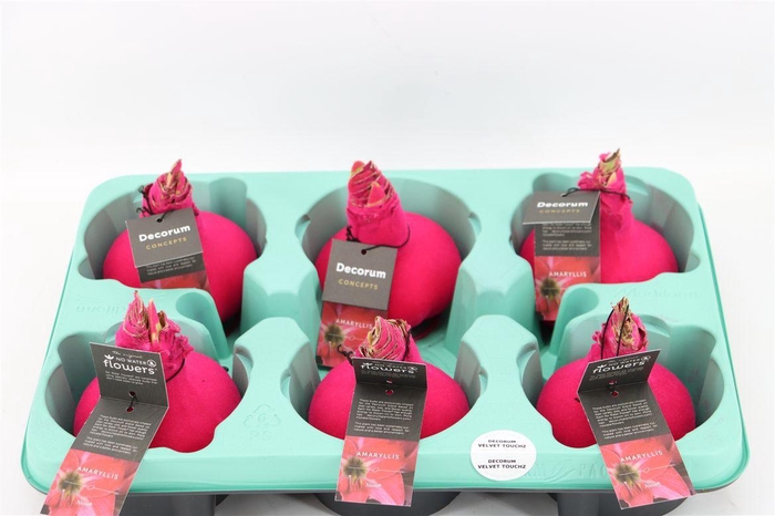 <h4>Wax Hipp Velvet Neon Pink Spec</h4>