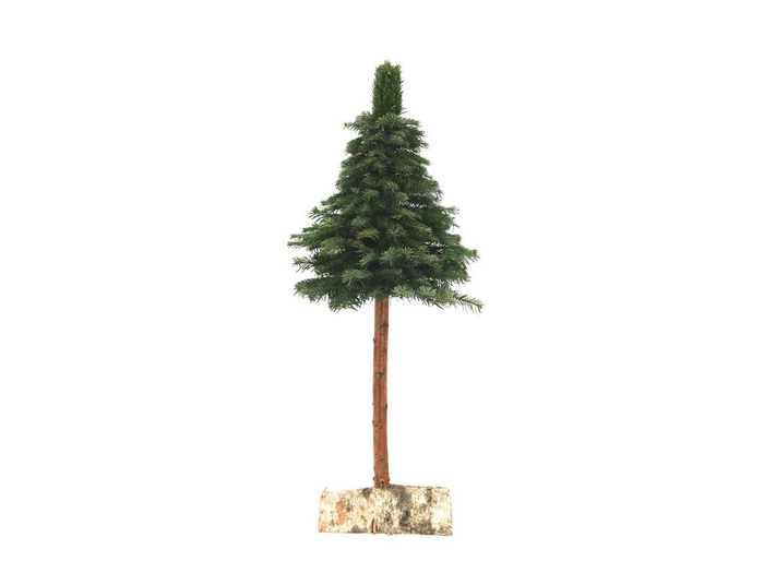 <h4>Kerstboom Nobilis Op Stok 100cm</h4>