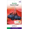 Aronia melanocarpa