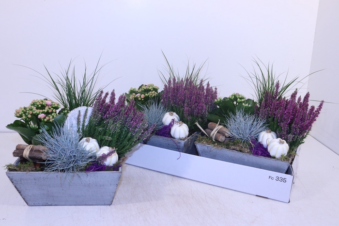 <h4>ARR TUINPLANTEN</h4>