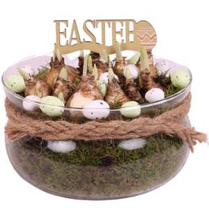 Easter Arr. Narcis Glass Bowl with Rope Ø20cm 3PP