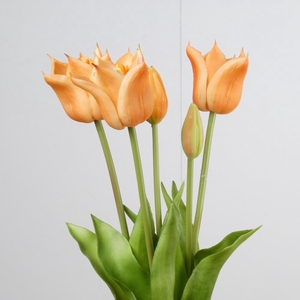 AF Tulip Bundle x5 L45cm Peach