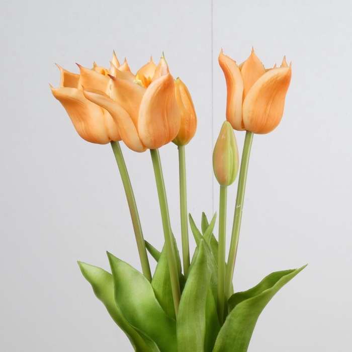 <h4>AF Tulip Bundle x5 L45cm Peach</h4>