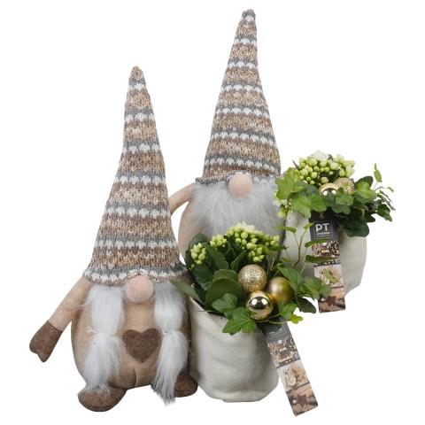 <h4>PTCHG5694 Arrangement Christmas Gold in stoffen gnome</h4>