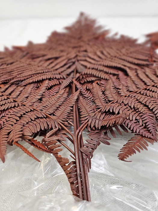 <h4>GESTABILISEERD VAREN BRUIN</h4>