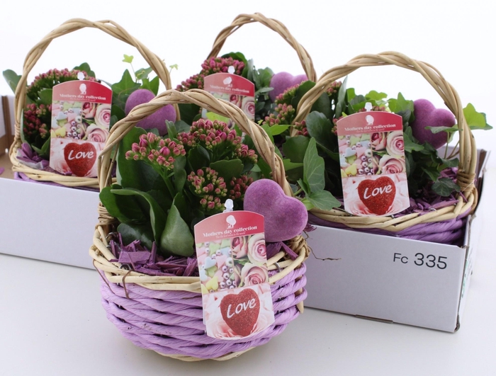 <h4>ARR KAMERPL</h4>