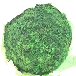 Ball (hanging) Egelmoss Old Green