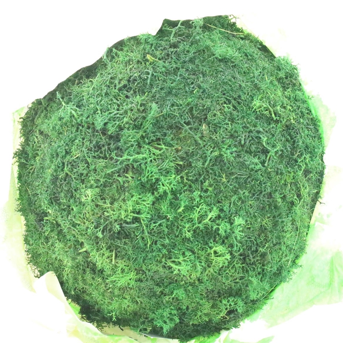 <h4>Ball (hanging) Egelmoss Old Green</h4>