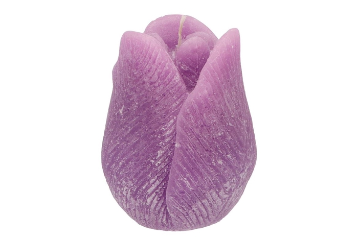 <h4>Candle Tulip Lila 10x13cm</h4>