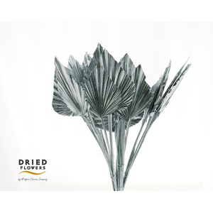 Dried Palm Spear Small Silver