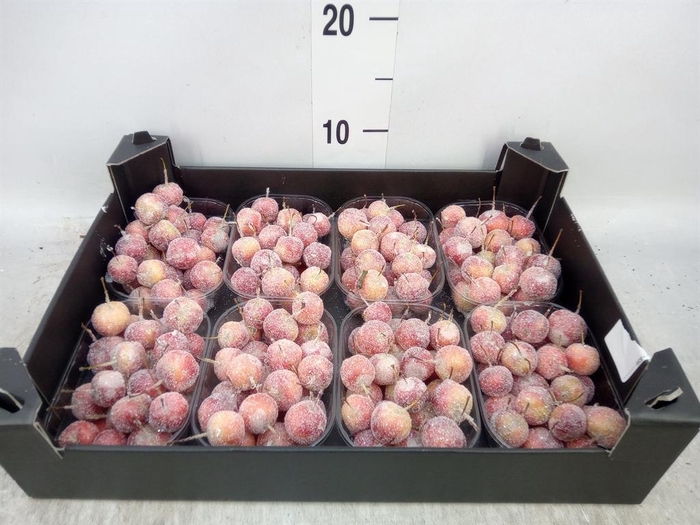 <h4>Decoratieve materialen   ...H%</h4>