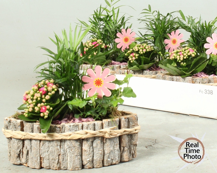 <h4>ARR KAMERPL</h4>