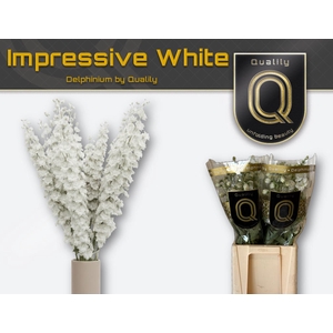 DELPH DU IMPR WHITE 70CM X40