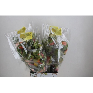 Papaver Mixed Sup Sup P Stem