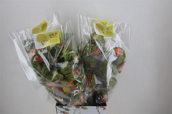 <h4>Papaver Mixed Sup Sup P Stem</h4>