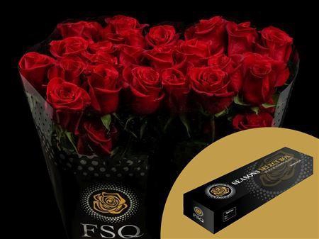 <h4>R Gr Freedom Box</h4>