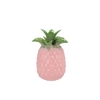 Pineapple Tropical Pink Vase 16x16x22cm Nm