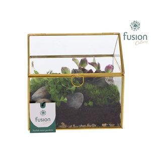 Glazen huis met arrangement