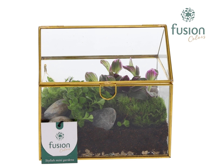 <h4>Glazen huis met arrangement</h4>