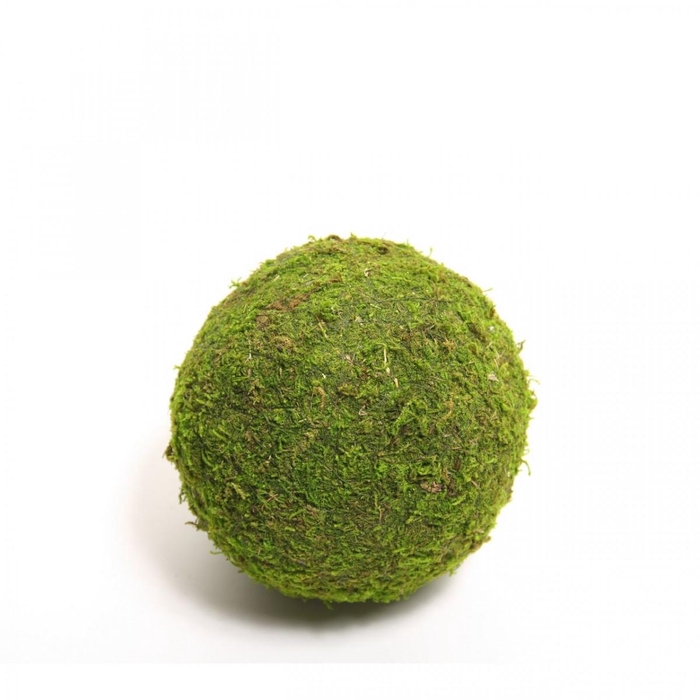 <h4>Droogdeco Mos bal  8cm</h4>