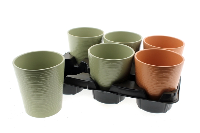 <h4>HUIS EN TUINDECO H%</h4>