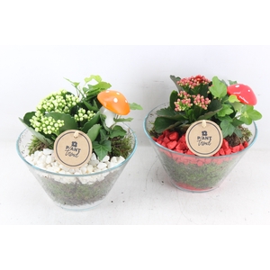 arr2 PL - Glas schaaltje - rood/wit