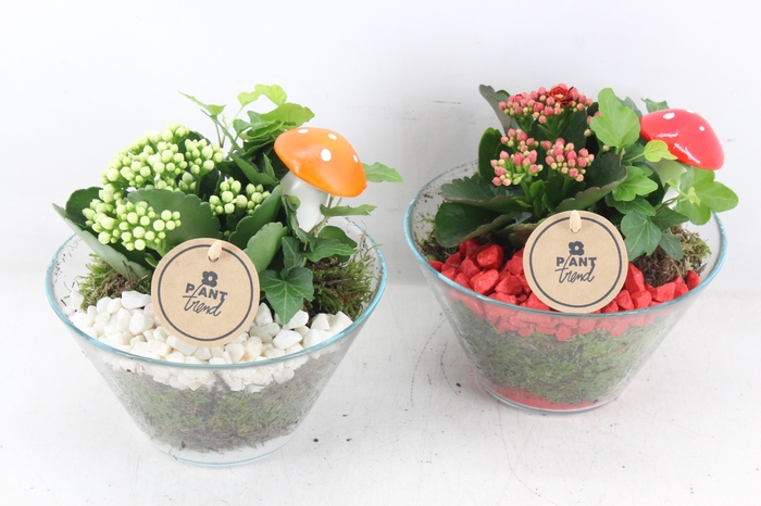 <h4>arr2 PL - Glas schaaltje - rood/wit</h4>