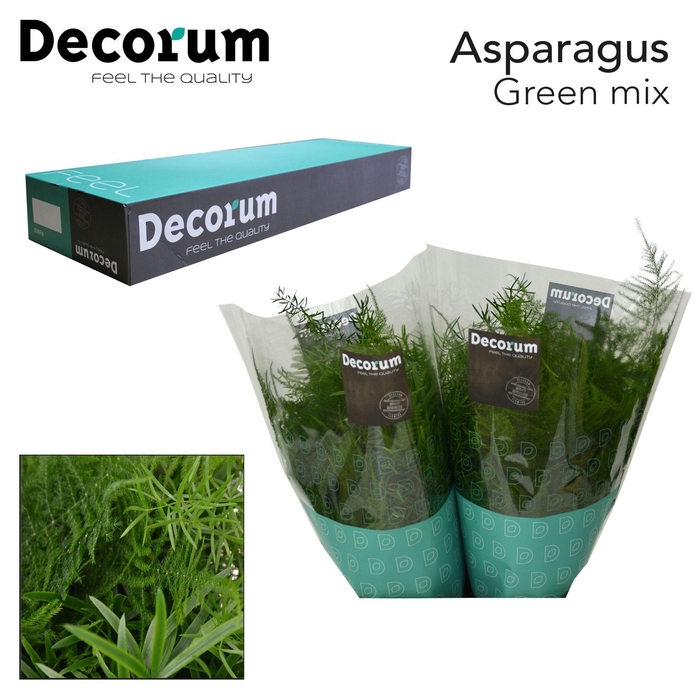 <h4>Asp Green Mix 65cm Box X50</h4>