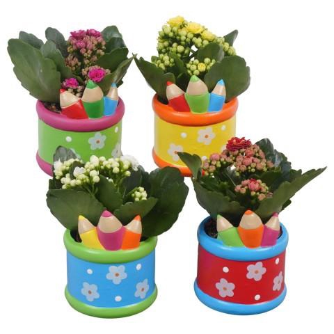 <h4>PTBTS3207 Arrangement Thank you teacher/Back To School in sierpot mix</h4>