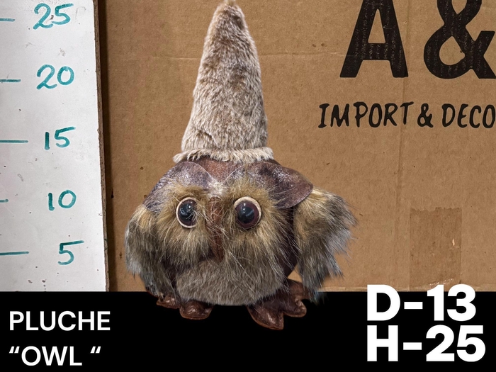 <h4>HUIS EN TUINDECO H%</h4>