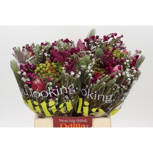 BQ Kaaps Groen Rivermix