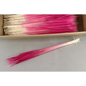 Df Typha (bl) Cerise Bs/25