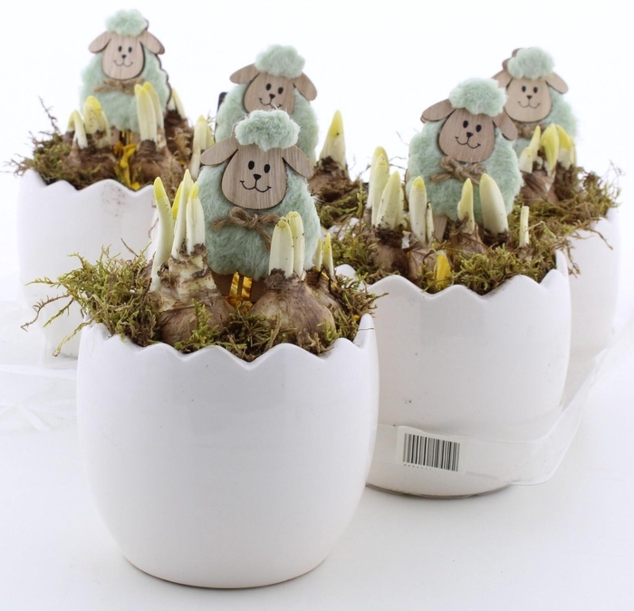 <h4>ARR N TETE A TETE</h4>