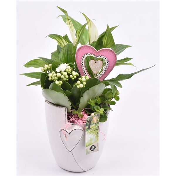 <h4>Keramiek pot met hart 12.5CM</h4>