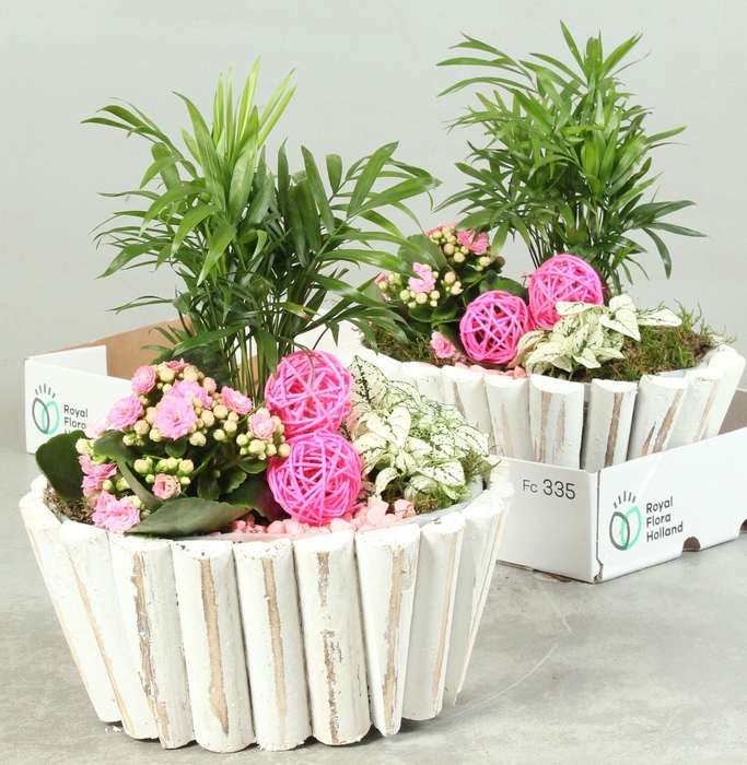 <h4>ARR KAMERPL</h4>