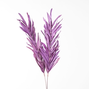 DF Fireleaves 105cm Milka 8111